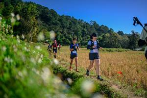 BIB: 
                            <button type="button" onclick="openModal(26576106)" class="btn btn-primary btn-sm float-right btn-popup" data-toggle="modal" data-target=".modal-high-quality">
                        <i class="fas fa-shopping-cart"></i> Add to Cart
                    </button>
                                            <button type="button" onclick="isThisMe(26576106, true)" class="btn btn-success btn-sm float-right btn-popup btn-isme hidden" data-toggle="tooltip" data-placement="bottom" title="นี่คือรูปของคุณใช่ไหม คลิกที่นี่เพื่อเอาเข้าอัลบั้ม">
                        <i class="fas fa-plus"></i> Add to album
                    </button>
                    <button type="button" onclick="isThisMe(26576106, false)" class="btn btn-warning btn-sm float-right btn-popup btn-isnotme hidden">
                        <i class="fas fa-ban"></i> Remove from album
                    </button>