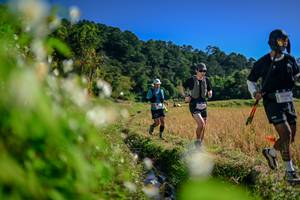 BIB: 
                            <button type="button" onclick="openModal(26574255)" class="btn btn-primary btn-sm float-right btn-popup" data-toggle="modal" data-target=".modal-high-quality">
                        <i class="fas fa-shopping-cart"></i> Add to Cart
                    </button>
                                            <button type="button" onclick="isThisMe(26574255, true)" class="btn btn-success btn-sm float-right btn-popup btn-isme hidden" data-toggle="tooltip" data-placement="bottom" title="นี่คือรูปของคุณใช่ไหม คลิกที่นี่เพื่อเอาเข้าอัลบั้ม">
                        <i class="fas fa-plus"></i> Add to album
                    </button>
                    <button type="button" onclick="isThisMe(26574255, false)" class="btn btn-warning btn-sm float-right btn-popup btn-isnotme hidden">
                        <i class="fas fa-ban"></i> Remove from album
                    </button>