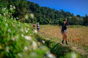 BIB: 
                            <button type="button" onclick="openModal(26582452)" class="btn btn-primary btn-sm float-right btn-popup" data-toggle="modal" data-target=".modal-high-quality">
                        <i class="fas fa-shopping-cart"></i> Add to Cart
                    </button>
                                            <button type="button" onclick="isThisMe(26582452, true)" class="btn btn-success btn-sm float-right btn-popup btn-isme hidden" data-toggle="tooltip" data-placement="bottom" title="นี่คือรูปของคุณใช่ไหม คลิกที่นี่เพื่อเอาเข้าอัลบั้ม">
                        <i class="fas fa-plus"></i> Add to album
                    </button>
                    <button type="button" onclick="isThisMe(26582452, false)" class="btn btn-warning btn-sm float-right btn-popup btn-isnotme hidden">
                        <i class="fas fa-ban"></i> Remove from album
                    </button>