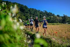 BIB: 
                            <button type="button" onclick="openModal(26575569)" class="btn btn-primary btn-sm float-right btn-popup" data-toggle="modal" data-target=".modal-high-quality">
                        <i class="fas fa-shopping-cart"></i> Add to Cart
                    </button>
                                            <button type="button" onclick="isThisMe(26575569, true)" class="btn btn-success btn-sm float-right btn-popup btn-isme hidden" data-toggle="tooltip" data-placement="bottom" title="นี่คือรูปของคุณใช่ไหม คลิกที่นี่เพื่อเอาเข้าอัลบั้ม">
                        <i class="fas fa-plus"></i> Add to album
                    </button>
                    <button type="button" onclick="isThisMe(26575569, false)" class="btn btn-warning btn-sm float-right btn-popup btn-isnotme hidden">
                        <i class="fas fa-ban"></i> Remove from album
                    </button>