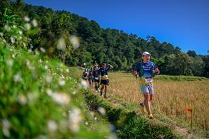 BIB: 
                            <button type="button" onclick="openModal(26582932)" class="btn btn-primary btn-sm float-right btn-popup" data-toggle="modal" data-target=".modal-high-quality">
                        <i class="fas fa-shopping-cart"></i> Add to Cart
                    </button>
                                            <button type="button" onclick="isThisMe(26582932, true)" class="btn btn-success btn-sm float-right btn-popup btn-isme hidden" data-toggle="tooltip" data-placement="bottom" title="นี่คือรูปของคุณใช่ไหม คลิกที่นี่เพื่อเอาเข้าอัลบั้ม">
                        <i class="fas fa-plus"></i> Add to album
                    </button>
                    <button type="button" onclick="isThisMe(26582932, false)" class="btn btn-warning btn-sm float-right btn-popup btn-isnotme hidden">
                        <i class="fas fa-ban"></i> Remove from album
                    </button>