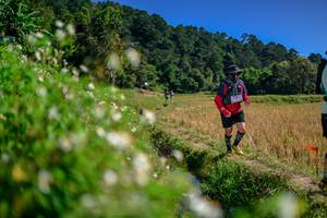 BIB: 
                            <button type="button" onclick="openModal(26582509)" class="btn btn-primary btn-sm float-right btn-popup" data-toggle="modal" data-target=".modal-high-quality">
                        <i class="fas fa-shopping-cart"></i> Add to Cart
                    </button>
                                            <button type="button" onclick="isThisMe(26582509, true)" class="btn btn-success btn-sm float-right btn-popup btn-isme hidden" data-toggle="tooltip" data-placement="bottom" title="นี่คือรูปของคุณใช่ไหม คลิกที่นี่เพื่อเอาเข้าอัลบั้ม">
                        <i class="fas fa-plus"></i> Add to album
                    </button>
                    <button type="button" onclick="isThisMe(26582509, false)" class="btn btn-warning btn-sm float-right btn-popup btn-isnotme hidden">
                        <i class="fas fa-ban"></i> Remove from album
                    </button>