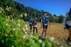 BIB: 
                            <button type="button" onclick="openModal(26581396)" class="btn btn-primary btn-sm float-right btn-popup" data-toggle="modal" data-target=".modal-high-quality">
                        <i class="fas fa-shopping-cart"></i> Add to Cart
                    </button>
                                            <button type="button" onclick="isThisMe(26581396, true)" class="btn btn-success btn-sm float-right btn-popup btn-isme hidden" data-toggle="tooltip" data-placement="bottom" title="นี่คือรูปของคุณใช่ไหม คลิกที่นี่เพื่อเอาเข้าอัลบั้ม">
                        <i class="fas fa-plus"></i> Add to album
                    </button>
                    <button type="button" onclick="isThisMe(26581396, false)" class="btn btn-warning btn-sm float-right btn-popup btn-isnotme hidden">
                        <i class="fas fa-ban"></i> Remove from album
                    </button>