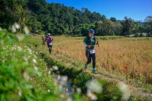 BIB: 
                            <button type="button" onclick="openModal(26576514)" class="btn btn-primary btn-sm float-right btn-popup" data-toggle="modal" data-target=".modal-high-quality">
                        <i class="fas fa-shopping-cart"></i> Add to Cart
                    </button>
                                            <button type="button" onclick="isThisMe(26576514, true)" class="btn btn-success btn-sm float-right btn-popup btn-isme hidden" data-toggle="tooltip" data-placement="bottom" title="นี่คือรูปของคุณใช่ไหม คลิกที่นี่เพื่อเอาเข้าอัลบั้ม">
                        <i class="fas fa-plus"></i> Add to album
                    </button>
                    <button type="button" onclick="isThisMe(26576514, false)" class="btn btn-warning btn-sm float-right btn-popup btn-isnotme hidden">
                        <i class="fas fa-ban"></i> Remove from album
                    </button>