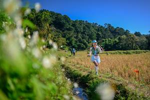 BIB: 
                            <button type="button" onclick="openModal(26573423)" class="btn btn-primary btn-sm float-right btn-popup" data-toggle="modal" data-target=".modal-high-quality">
                        <i class="fas fa-shopping-cart"></i> Add to Cart
                    </button>
                                            <button type="button" onclick="isThisMe(26573423, true)" class="btn btn-success btn-sm float-right btn-popup btn-isme hidden" data-toggle="tooltip" data-placement="bottom" title="นี่คือรูปของคุณใช่ไหม คลิกที่นี่เพื่อเอาเข้าอัลบั้ม">
                        <i class="fas fa-plus"></i> Add to album
                    </button>
                    <button type="button" onclick="isThisMe(26573423, false)" class="btn btn-warning btn-sm float-right btn-popup btn-isnotme hidden">
                        <i class="fas fa-ban"></i> Remove from album
                    </button>