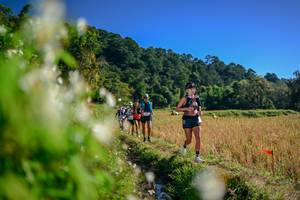 BIB: 
                            <button type="button" onclick="openModal(26572930)" class="btn btn-primary btn-sm float-right btn-popup" data-toggle="modal" data-target=".modal-high-quality">
                        <i class="fas fa-shopping-cart"></i> Add to Cart
                    </button>
                                            <button type="button" onclick="isThisMe(26572930, true)" class="btn btn-success btn-sm float-right btn-popup btn-isme hidden" data-toggle="tooltip" data-placement="bottom" title="นี่คือรูปของคุณใช่ไหม คลิกที่นี่เพื่อเอาเข้าอัลบั้ม">
                        <i class="fas fa-plus"></i> Add to album
                    </button>
                    <button type="button" onclick="isThisMe(26572930, false)" class="btn btn-warning btn-sm float-right btn-popup btn-isnotme hidden">
                        <i class="fas fa-ban"></i> Remove from album
                    </button>