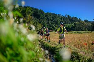 BIB: 
                            <button type="button" onclick="openModal(26574008)" class="btn btn-primary btn-sm float-right btn-popup" data-toggle="modal" data-target=".modal-high-quality">
                        <i class="fas fa-shopping-cart"></i> Add to Cart
                    </button>
                                            <button type="button" onclick="isThisMe(26574008, true)" class="btn btn-success btn-sm float-right btn-popup btn-isme hidden" data-toggle="tooltip" data-placement="bottom" title="นี่คือรูปของคุณใช่ไหม คลิกที่นี่เพื่อเอาเข้าอัลบั้ม">
                        <i class="fas fa-plus"></i> Add to album
                    </button>
                    <button type="button" onclick="isThisMe(26574008, false)" class="btn btn-warning btn-sm float-right btn-popup btn-isnotme hidden">
                        <i class="fas fa-ban"></i> Remove from album
                    </button>