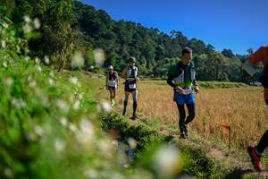 BIB: 
                            <button type="button" onclick="openModal(26576349)" class="btn btn-primary btn-sm float-right btn-popup" data-toggle="modal" data-target=".modal-high-quality">
                        <i class="fas fa-shopping-cart"></i> Add to Cart
                    </button>
                                            <button type="button" onclick="isThisMe(26576349, true)" class="btn btn-success btn-sm float-right btn-popup btn-isme hidden" data-toggle="tooltip" data-placement="bottom" title="นี่คือรูปของคุณใช่ไหม คลิกที่นี่เพื่อเอาเข้าอัลบั้ม">
                        <i class="fas fa-plus"></i> Add to album
                    </button>
                    <button type="button" onclick="isThisMe(26576349, false)" class="btn btn-warning btn-sm float-right btn-popup btn-isnotme hidden">
                        <i class="fas fa-ban"></i> Remove from album
                    </button>