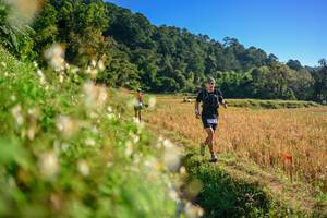 BIB: 
                            <button type="button" onclick="openModal(26570952)" class="btn btn-primary btn-sm float-right btn-popup" data-toggle="modal" data-target=".modal-high-quality">
                        <i class="fas fa-shopping-cart"></i> Add to Cart
                    </button>
                                            <button type="button" onclick="isThisMe(26570952, true)" class="btn btn-success btn-sm float-right btn-popup btn-isme hidden" data-toggle="tooltip" data-placement="bottom" title="นี่คือรูปของคุณใช่ไหม คลิกที่นี่เพื่อเอาเข้าอัลบั้ม">
                        <i class="fas fa-plus"></i> Add to album
                    </button>
                    <button type="button" onclick="isThisMe(26570952, false)" class="btn btn-warning btn-sm float-right btn-popup btn-isnotme hidden">
                        <i class="fas fa-ban"></i> Remove from album
                    </button>