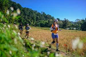 BIB: 
                            <button type="button" onclick="openModal(26576552)" class="btn btn-primary btn-sm float-right btn-popup" data-toggle="modal" data-target=".modal-high-quality">
                        <i class="fas fa-shopping-cart"></i> Add to Cart
                    </button>
                                            <button type="button" onclick="isThisMe(26576552, true)" class="btn btn-success btn-sm float-right btn-popup btn-isme hidden" data-toggle="tooltip" data-placement="bottom" title="นี่คือรูปของคุณใช่ไหม คลิกที่นี่เพื่อเอาเข้าอัลบั้ม">
                        <i class="fas fa-plus"></i> Add to album
                    </button>
                    <button type="button" onclick="isThisMe(26576552, false)" class="btn btn-warning btn-sm float-right btn-popup btn-isnotme hidden">
                        <i class="fas fa-ban"></i> Remove from album
                    </button>