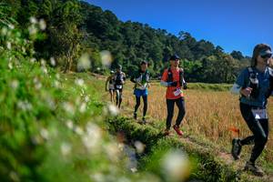 BIB: 
                            <button type="button" onclick="openModal(26576328)" class="btn btn-primary btn-sm float-right btn-popup" data-toggle="modal" data-target=".modal-high-quality">
                        <i class="fas fa-shopping-cart"></i> Add to Cart
                    </button>
                                            <button type="button" onclick="isThisMe(26576328, true)" class="btn btn-success btn-sm float-right btn-popup btn-isme hidden" data-toggle="tooltip" data-placement="bottom" title="นี่คือรูปของคุณใช่ไหม คลิกที่นี่เพื่อเอาเข้าอัลบั้ม">
                        <i class="fas fa-plus"></i> Add to album
                    </button>
                    <button type="button" onclick="isThisMe(26576328, false)" class="btn btn-warning btn-sm float-right btn-popup btn-isnotme hidden">
                        <i class="fas fa-ban"></i> Remove from album
                    </button>