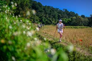 BIB: 
                            <button type="button" onclick="openModal(26581576)" class="btn btn-primary btn-sm float-right btn-popup" data-toggle="modal" data-target=".modal-high-quality">
                        <i class="fas fa-shopping-cart"></i> Add to Cart
                    </button>
                                            <button type="button" onclick="isThisMe(26581576, true)" class="btn btn-success btn-sm float-right btn-popup btn-isme hidden" data-toggle="tooltip" data-placement="bottom" title="นี่คือรูปของคุณใช่ไหม คลิกที่นี่เพื่อเอาเข้าอัลบั้ม">
                        <i class="fas fa-plus"></i> Add to album
                    </button>
                    <button type="button" onclick="isThisMe(26581576, false)" class="btn btn-warning btn-sm float-right btn-popup btn-isnotme hidden">
                        <i class="fas fa-ban"></i> Remove from album
                    </button>