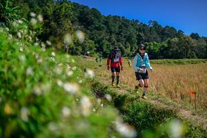 BIB: 
                            <button type="button" onclick="openModal(26582494)" class="btn btn-primary btn-sm float-right btn-popup" data-toggle="modal" data-target=".modal-high-quality">
                        <i class="fas fa-shopping-cart"></i> Add to Cart
                    </button>
                                            <button type="button" onclick="isThisMe(26582494, true)" class="btn btn-success btn-sm float-right btn-popup btn-isme hidden" data-toggle="tooltip" data-placement="bottom" title="นี่คือรูปของคุณใช่ไหม คลิกที่นี่เพื่อเอาเข้าอัลบั้ม">
                        <i class="fas fa-plus"></i> Add to album
                    </button>
                    <button type="button" onclick="isThisMe(26582494, false)" class="btn btn-warning btn-sm float-right btn-popup btn-isnotme hidden">
                        <i class="fas fa-ban"></i> Remove from album
                    </button>