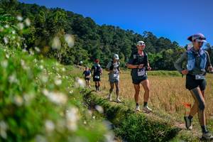 BIB: 
                            <button type="button" onclick="openModal(26582894)" class="btn btn-primary btn-sm float-right btn-popup" data-toggle="modal" data-target=".modal-high-quality">
                        <i class="fas fa-shopping-cart"></i> Add to Cart
                    </button>
                                            <button type="button" onclick="isThisMe(26582894, true)" class="btn btn-success btn-sm float-right btn-popup btn-isme hidden" data-toggle="tooltip" data-placement="bottom" title="นี่คือรูปของคุณใช่ไหม คลิกที่นี่เพื่อเอาเข้าอัลบั้ม">
                        <i class="fas fa-plus"></i> Add to album
                    </button>
                    <button type="button" onclick="isThisMe(26582894, false)" class="btn btn-warning btn-sm float-right btn-popup btn-isnotme hidden">
                        <i class="fas fa-ban"></i> Remove from album
                    </button>