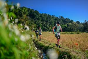 BIB: 
                            <button type="button" onclick="openModal(26573862)" class="btn btn-primary btn-sm float-right btn-popup" data-toggle="modal" data-target=".modal-high-quality">
                        <i class="fas fa-shopping-cart"></i> Add to Cart
                    </button>
                                            <button type="button" onclick="isThisMe(26573862, true)" class="btn btn-success btn-sm float-right btn-popup btn-isme hidden" data-toggle="tooltip" data-placement="bottom" title="นี่คือรูปของคุณใช่ไหม คลิกที่นี่เพื่อเอาเข้าอัลบั้ม">
                        <i class="fas fa-plus"></i> Add to album
                    </button>
                    <button type="button" onclick="isThisMe(26573862, false)" class="btn btn-warning btn-sm float-right btn-popup btn-isnotme hidden">
                        <i class="fas fa-ban"></i> Remove from album
                    </button>