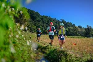 BIB: 
                            <button type="button" onclick="openModal(26580244)" class="btn btn-primary btn-sm float-right btn-popup" data-toggle="modal" data-target=".modal-high-quality">
                        <i class="fas fa-shopping-cart"></i> Add to Cart
                    </button>
                                            <button type="button" onclick="isThisMe(26580244, true)" class="btn btn-success btn-sm float-right btn-popup btn-isme hidden" data-toggle="tooltip" data-placement="bottom" title="นี่คือรูปของคุณใช่ไหม คลิกที่นี่เพื่อเอาเข้าอัลบั้ม">
                        <i class="fas fa-plus"></i> Add to album
                    </button>
                    <button type="button" onclick="isThisMe(26580244, false)" class="btn btn-warning btn-sm float-right btn-popup btn-isnotme hidden">
                        <i class="fas fa-ban"></i> Remove from album
                    </button>