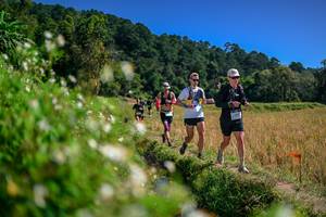 BIB: 
                            <button type="button" onclick="openModal(26582107)" class="btn btn-primary btn-sm float-right btn-popup" data-toggle="modal" data-target=".modal-high-quality">
                        <i class="fas fa-shopping-cart"></i> Add to Cart
                    </button>
                                            <button type="button" onclick="isThisMe(26582107, true)" class="btn btn-success btn-sm float-right btn-popup btn-isme hidden" data-toggle="tooltip" data-placement="bottom" title="นี่คือรูปของคุณใช่ไหม คลิกที่นี่เพื่อเอาเข้าอัลบั้ม">
                        <i class="fas fa-plus"></i> Add to album
                    </button>
                    <button type="button" onclick="isThisMe(26582107, false)" class="btn btn-warning btn-sm float-right btn-popup btn-isnotme hidden">
                        <i class="fas fa-ban"></i> Remove from album
                    </button>