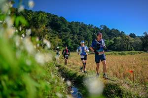 BIB: 
                            <button type="button" onclick="openModal(26573826)" class="btn btn-primary btn-sm float-right btn-popup" data-toggle="modal" data-target=".modal-high-quality">
                        <i class="fas fa-shopping-cart"></i> Add to Cart
                    </button>
                                            <button type="button" onclick="isThisMe(26573826, true)" class="btn btn-success btn-sm float-right btn-popup btn-isme hidden" data-toggle="tooltip" data-placement="bottom" title="นี่คือรูปของคุณใช่ไหม คลิกที่นี่เพื่อเอาเข้าอัลบั้ม">
                        <i class="fas fa-plus"></i> Add to album
                    </button>
                    <button type="button" onclick="isThisMe(26573826, false)" class="btn btn-warning btn-sm float-right btn-popup btn-isnotme hidden">
                        <i class="fas fa-ban"></i> Remove from album
                    </button>