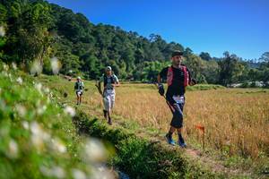 BIB: 
                            <button type="button" onclick="openModal(26576453)" class="btn btn-primary btn-sm float-right btn-popup" data-toggle="modal" data-target=".modal-high-quality">
                        <i class="fas fa-shopping-cart"></i> Add to Cart
                    </button>
                                            <button type="button" onclick="isThisMe(26576453, true)" class="btn btn-success btn-sm float-right btn-popup btn-isme hidden" data-toggle="tooltip" data-placement="bottom" title="นี่คือรูปของคุณใช่ไหม คลิกที่นี่เพื่อเอาเข้าอัลบั้ม">
                        <i class="fas fa-plus"></i> Add to album
                    </button>
                    <button type="button" onclick="isThisMe(26576453, false)" class="btn btn-warning btn-sm float-right btn-popup btn-isnotme hidden">
                        <i class="fas fa-ban"></i> Remove from album
                    </button>