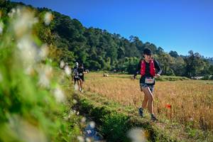 BIB: 
                            <button type="button" onclick="openModal(26571598)" class="btn btn-primary btn-sm float-right btn-popup" data-toggle="modal" data-target=".modal-high-quality">
                        <i class="fas fa-shopping-cart"></i> Add to Cart
                    </button>
                                            <button type="button" onclick="isThisMe(26571598, true)" class="btn btn-success btn-sm float-right btn-popup btn-isme hidden" data-toggle="tooltip" data-placement="bottom" title="นี่คือรูปของคุณใช่ไหม คลิกที่นี่เพื่อเอาเข้าอัลบั้ม">
                        <i class="fas fa-plus"></i> Add to album
                    </button>
                    <button type="button" onclick="isThisMe(26571598, false)" class="btn btn-warning btn-sm float-right btn-popup btn-isnotme hidden">
                        <i class="fas fa-ban"></i> Remove from album
                    </button>