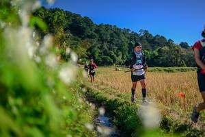 BIB: 
                            <button type="button" onclick="openModal(26572554)" class="btn btn-primary btn-sm float-right btn-popup" data-toggle="modal" data-target=".modal-high-quality">
                        <i class="fas fa-shopping-cart"></i> Add to Cart
                    </button>
                                            <button type="button" onclick="isThisMe(26572554, true)" class="btn btn-success btn-sm float-right btn-popup btn-isme hidden" data-toggle="tooltip" data-placement="bottom" title="นี่คือรูปของคุณใช่ไหม คลิกที่นี่เพื่อเอาเข้าอัลบั้ม">
                        <i class="fas fa-plus"></i> Add to album
                    </button>
                    <button type="button" onclick="isThisMe(26572554, false)" class="btn btn-warning btn-sm float-right btn-popup btn-isnotme hidden">
                        <i class="fas fa-ban"></i> Remove from album
                    </button>