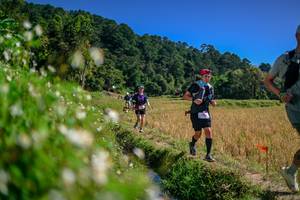 BIB: 
                            <button type="button" onclick="openModal(26582914)" class="btn btn-primary btn-sm float-right btn-popup" data-toggle="modal" data-target=".modal-high-quality">
                        <i class="fas fa-shopping-cart"></i> Add to Cart
                    </button>
                                            <button type="button" onclick="isThisMe(26582914, true)" class="btn btn-success btn-sm float-right btn-popup btn-isme hidden" data-toggle="tooltip" data-placement="bottom" title="นี่คือรูปของคุณใช่ไหม คลิกที่นี่เพื่อเอาเข้าอัลบั้ม">
                        <i class="fas fa-plus"></i> Add to album
                    </button>
                    <button type="button" onclick="isThisMe(26582914, false)" class="btn btn-warning btn-sm float-right btn-popup btn-isnotme hidden">
                        <i class="fas fa-ban"></i> Remove from album
                    </button>