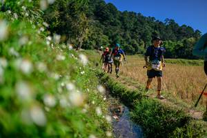 BIB: 
                            <button type="button" onclick="openModal(26583220)" class="btn btn-primary btn-sm float-right btn-popup" data-toggle="modal" data-target=".modal-high-quality">
                        <i class="fas fa-shopping-cart"></i> Add to Cart
                    </button>
                                            <button type="button" onclick="isThisMe(26583220, true)" class="btn btn-success btn-sm float-right btn-popup btn-isme hidden" data-toggle="tooltip" data-placement="bottom" title="นี่คือรูปของคุณใช่ไหม คลิกที่นี่เพื่อเอาเข้าอัลบั้ม">
                        <i class="fas fa-plus"></i> Add to album
                    </button>
                    <button type="button" onclick="isThisMe(26583220, false)" class="btn btn-warning btn-sm float-right btn-popup btn-isnotme hidden">
                        <i class="fas fa-ban"></i> Remove from album
                    </button>