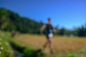 BIB: 
                            <button type="button" onclick="openModal(26580115)" class="btn btn-primary btn-sm float-right btn-popup" data-toggle="modal" data-target=".modal-high-quality">
                        <i class="fas fa-shopping-cart"></i> Add to Cart
                    </button>
                                            <button type="button" onclick="isThisMe(26580115, true)" class="btn btn-success btn-sm float-right btn-popup btn-isme hidden" data-toggle="tooltip" data-placement="bottom" title="นี่คือรูปของคุณใช่ไหม คลิกที่นี่เพื่อเอาเข้าอัลบั้ม">
                        <i class="fas fa-plus"></i> Add to album
                    </button>
                    <button type="button" onclick="isThisMe(26580115, false)" class="btn btn-warning btn-sm float-right btn-popup btn-isnotme hidden">
                        <i class="fas fa-ban"></i> Remove from album
                    </button>