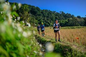 BIB: 
                            <button type="button" onclick="openModal(26574765)" class="btn btn-primary btn-sm float-right btn-popup" data-toggle="modal" data-target=".modal-high-quality">
                        <i class="fas fa-shopping-cart"></i> Add to Cart
                    </button>
                                            <button type="button" onclick="isThisMe(26574765, true)" class="btn btn-success btn-sm float-right btn-popup btn-isme hidden" data-toggle="tooltip" data-placement="bottom" title="นี่คือรูปของคุณใช่ไหม คลิกที่นี่เพื่อเอาเข้าอัลบั้ม">
                        <i class="fas fa-plus"></i> Add to album
                    </button>
                    <button type="button" onclick="isThisMe(26574765, false)" class="btn btn-warning btn-sm float-right btn-popup btn-isnotme hidden">
                        <i class="fas fa-ban"></i> Remove from album
                    </button>