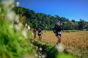 BIB: 
                            <button type="button" onclick="openModal(26572326)" class="btn btn-primary btn-sm float-right btn-popup" data-toggle="modal" data-target=".modal-high-quality">
                        <i class="fas fa-shopping-cart"></i> Add to Cart
                    </button>
                                            <button type="button" onclick="isThisMe(26572326, true)" class="btn btn-success btn-sm float-right btn-popup btn-isme hidden" data-toggle="tooltip" data-placement="bottom" title="นี่คือรูปของคุณใช่ไหม คลิกที่นี่เพื่อเอาเข้าอัลบั้ม">
                        <i class="fas fa-plus"></i> Add to album
                    </button>
                    <button type="button" onclick="isThisMe(26572326, false)" class="btn btn-warning btn-sm float-right btn-popup btn-isnotme hidden">
                        <i class="fas fa-ban"></i> Remove from album
                    </button>