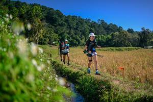 BIB: 
                            <button type="button" onclick="openModal(26575907)" class="btn btn-primary btn-sm float-right btn-popup" data-toggle="modal" data-target=".modal-high-quality">
                        <i class="fas fa-shopping-cart"></i> Add to Cart
                    </button>
                                            <button type="button" onclick="isThisMe(26575907, true)" class="btn btn-success btn-sm float-right btn-popup btn-isme hidden" data-toggle="tooltip" data-placement="bottom" title="นี่คือรูปของคุณใช่ไหม คลิกที่นี่เพื่อเอาเข้าอัลบั้ม">
                        <i class="fas fa-plus"></i> Add to album
                    </button>
                    <button type="button" onclick="isThisMe(26575907, false)" class="btn btn-warning btn-sm float-right btn-popup btn-isnotme hidden">
                        <i class="fas fa-ban"></i> Remove from album
                    </button>