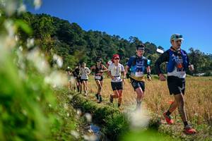 BIB: 
                            <button type="button" onclick="openModal(26575064)" class="btn btn-primary btn-sm float-right btn-popup" data-toggle="modal" data-target=".modal-high-quality">
                        <i class="fas fa-shopping-cart"></i> Add to Cart
                    </button>
                                            <button type="button" onclick="isThisMe(26575064, true)" class="btn btn-success btn-sm float-right btn-popup btn-isme hidden" data-toggle="tooltip" data-placement="bottom" title="นี่คือรูปของคุณใช่ไหม คลิกที่นี่เพื่อเอาเข้าอัลบั้ม">
                        <i class="fas fa-plus"></i> Add to album
                    </button>
                    <button type="button" onclick="isThisMe(26575064, false)" class="btn btn-warning btn-sm float-right btn-popup btn-isnotme hidden">
                        <i class="fas fa-ban"></i> Remove from album
                    </button>