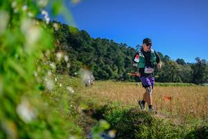 BIB: 
                            <button type="button" onclick="openModal(26580649)" class="btn btn-primary btn-sm float-right btn-popup" data-toggle="modal" data-target=".modal-high-quality">
                        <i class="fas fa-shopping-cart"></i> Add to Cart
                    </button>
                                            <button type="button" onclick="isThisMe(26580649, true)" class="btn btn-success btn-sm float-right btn-popup btn-isme hidden" data-toggle="tooltip" data-placement="bottom" title="นี่คือรูปของคุณใช่ไหม คลิกที่นี่เพื่อเอาเข้าอัลบั้ม">
                        <i class="fas fa-plus"></i> Add to album
                    </button>
                    <button type="button" onclick="isThisMe(26580649, false)" class="btn btn-warning btn-sm float-right btn-popup btn-isnotme hidden">
                        <i class="fas fa-ban"></i> Remove from album
                    </button>