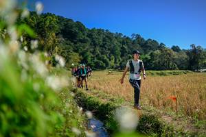 BIB: 
                            <button type="button" onclick="openModal(26575028)" class="btn btn-primary btn-sm float-right btn-popup" data-toggle="modal" data-target=".modal-high-quality">
                        <i class="fas fa-shopping-cart"></i> Add to Cart
                    </button>
                                            <button type="button" onclick="isThisMe(26575028, true)" class="btn btn-success btn-sm float-right btn-popup btn-isme hidden" data-toggle="tooltip" data-placement="bottom" title="นี่คือรูปของคุณใช่ไหม คลิกที่นี่เพื่อเอาเข้าอัลบั้ม">
                        <i class="fas fa-plus"></i> Add to album
                    </button>
                    <button type="button" onclick="isThisMe(26575028, false)" class="btn btn-warning btn-sm float-right btn-popup btn-isnotme hidden">
                        <i class="fas fa-ban"></i> Remove from album
                    </button>