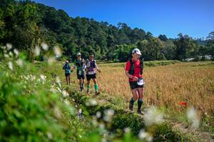 BIB: 
                            <button type="button" onclick="openModal(26575769)" class="btn btn-primary btn-sm float-right btn-popup" data-toggle="modal" data-target=".modal-high-quality">
                        <i class="fas fa-shopping-cart"></i> Add to Cart
                    </button>
                                            <button type="button" onclick="isThisMe(26575769, true)" class="btn btn-success btn-sm float-right btn-popup btn-isme hidden" data-toggle="tooltip" data-placement="bottom" title="นี่คือรูปของคุณใช่ไหม คลิกที่นี่เพื่อเอาเข้าอัลบั้ม">
                        <i class="fas fa-plus"></i> Add to album
                    </button>
                    <button type="button" onclick="isThisMe(26575769, false)" class="btn btn-warning btn-sm float-right btn-popup btn-isnotme hidden">
                        <i class="fas fa-ban"></i> Remove from album
                    </button>