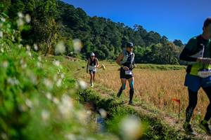 BIB: 
                            <button type="button" onclick="openModal(26576346)" class="btn btn-primary btn-sm float-right btn-popup" data-toggle="modal" data-target=".modal-high-quality">
                        <i class="fas fa-shopping-cart"></i> Add to Cart
                    </button>
                                            <button type="button" onclick="isThisMe(26576346, true)" class="btn btn-success btn-sm float-right btn-popup btn-isme hidden" data-toggle="tooltip" data-placement="bottom" title="นี่คือรูปของคุณใช่ไหม คลิกที่นี่เพื่อเอาเข้าอัลบั้ม">
                        <i class="fas fa-plus"></i> Add to album
                    </button>
                    <button type="button" onclick="isThisMe(26576346, false)" class="btn btn-warning btn-sm float-right btn-popup btn-isnotme hidden">
                        <i class="fas fa-ban"></i> Remove from album
                    </button>