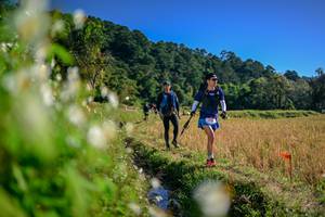 BIB: 
                            <button type="button" onclick="openModal(26573491)" class="btn btn-primary btn-sm float-right btn-popup" data-toggle="modal" data-target=".modal-high-quality">
                        <i class="fas fa-shopping-cart"></i> Add to Cart
                    </button>
                                            <button type="button" onclick="isThisMe(26573491, true)" class="btn btn-success btn-sm float-right btn-popup btn-isme hidden" data-toggle="tooltip" data-placement="bottom" title="นี่คือรูปของคุณใช่ไหม คลิกที่นี่เพื่อเอาเข้าอัลบั้ม">
                        <i class="fas fa-plus"></i> Add to album
                    </button>
                    <button type="button" onclick="isThisMe(26573491, false)" class="btn btn-warning btn-sm float-right btn-popup btn-isnotme hidden">
                        <i class="fas fa-ban"></i> Remove from album
                    </button>