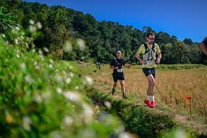 BIB: 
                            <button type="button" onclick="openModal(26582317)" class="btn btn-primary btn-sm float-right btn-popup" data-toggle="modal" data-target=".modal-high-quality">
                        <i class="fas fa-shopping-cart"></i> Add to Cart
                    </button>
                                            <button type="button" onclick="isThisMe(26582317, true)" class="btn btn-success btn-sm float-right btn-popup btn-isme hidden" data-toggle="tooltip" data-placement="bottom" title="นี่คือรูปของคุณใช่ไหม คลิกที่นี่เพื่อเอาเข้าอัลบั้ม">
                        <i class="fas fa-plus"></i> Add to album
                    </button>
                    <button type="button" onclick="isThisMe(26582317, false)" class="btn btn-warning btn-sm float-right btn-popup btn-isnotme hidden">
                        <i class="fas fa-ban"></i> Remove from album
                    </button>