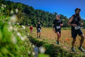 BIB: 
                            <button type="button" onclick="openModal(26575677)" class="btn btn-primary btn-sm float-right btn-popup" data-toggle="modal" data-target=".modal-high-quality">
                        <i class="fas fa-shopping-cart"></i> Add to Cart
                    </button>
                                            <button type="button" onclick="isThisMe(26575677, true)" class="btn btn-success btn-sm float-right btn-popup btn-isme hidden" data-toggle="tooltip" data-placement="bottom" title="นี่คือรูปของคุณใช่ไหม คลิกที่นี่เพื่อเอาเข้าอัลบั้ม">
                        <i class="fas fa-plus"></i> Add to album
                    </button>
                    <button type="button" onclick="isThisMe(26575677, false)" class="btn btn-warning btn-sm float-right btn-popup btn-isnotme hidden">
                        <i class="fas fa-ban"></i> Remove from album
                    </button>