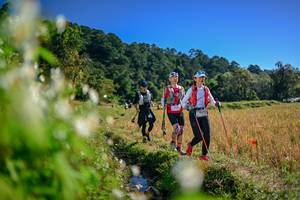 BIB: 
                            <button type="button" onclick="openModal(26573564)" class="btn btn-primary btn-sm float-right btn-popup" data-toggle="modal" data-target=".modal-high-quality">
                        <i class="fas fa-shopping-cart"></i> Add to Cart
                    </button>
                                            <button type="button" onclick="isThisMe(26573564, true)" class="btn btn-success btn-sm float-right btn-popup btn-isme hidden" data-toggle="tooltip" data-placement="bottom" title="นี่คือรูปของคุณใช่ไหม คลิกที่นี่เพื่อเอาเข้าอัลบั้ม">
                        <i class="fas fa-plus"></i> Add to album
                    </button>
                    <button type="button" onclick="isThisMe(26573564, false)" class="btn btn-warning btn-sm float-right btn-popup btn-isnotme hidden">
                        <i class="fas fa-ban"></i> Remove from album
                    </button>