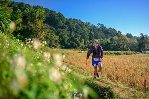 BIB: 
                            <button type="button" onclick="openModal(26570630)" class="btn btn-primary btn-sm float-right btn-popup" data-toggle="modal" data-target=".modal-high-quality">
                        <i class="fas fa-shopping-cart"></i> Add to Cart
                    </button>
                                            <button type="button" onclick="isThisMe(26570630, true)" class="btn btn-success btn-sm float-right btn-popup btn-isme hidden" data-toggle="tooltip" data-placement="bottom" title="นี่คือรูปของคุณใช่ไหม คลิกที่นี่เพื่อเอาเข้าอัลบั้ม">
                        <i class="fas fa-plus"></i> Add to album
                    </button>
                    <button type="button" onclick="isThisMe(26570630, false)" class="btn btn-warning btn-sm float-right btn-popup btn-isnotme hidden">
                        <i class="fas fa-ban"></i> Remove from album
                    </button>