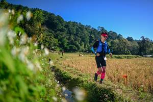 BIB: 
                            <button type="button" onclick="openModal(26571739)" class="btn btn-primary btn-sm float-right btn-popup" data-toggle="modal" data-target=".modal-high-quality">
                        <i class="fas fa-shopping-cart"></i> Add to Cart
                    </button>
                                            <button type="button" onclick="isThisMe(26571739, true)" class="btn btn-success btn-sm float-right btn-popup btn-isme hidden" data-toggle="tooltip" data-placement="bottom" title="นี่คือรูปของคุณใช่ไหม คลิกที่นี่เพื่อเอาเข้าอัลบั้ม">
                        <i class="fas fa-plus"></i> Add to album
                    </button>
                    <button type="button" onclick="isThisMe(26571739, false)" class="btn btn-warning btn-sm float-right btn-popup btn-isnotme hidden">
                        <i class="fas fa-ban"></i> Remove from album
                    </button>