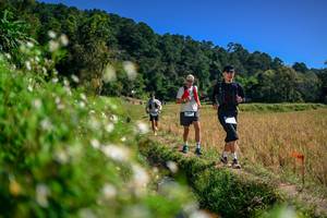 BIB: 
                            <button type="button" onclick="openModal(26582178)" class="btn btn-primary btn-sm float-right btn-popup" data-toggle="modal" data-target=".modal-high-quality">
                        <i class="fas fa-shopping-cart"></i> Add to Cart
                    </button>
                                            <button type="button" onclick="isThisMe(26582178, true)" class="btn btn-success btn-sm float-right btn-popup btn-isme hidden" data-toggle="tooltip" data-placement="bottom" title="นี่คือรูปของคุณใช่ไหม คลิกที่นี่เพื่อเอาเข้าอัลบั้ม">
                        <i class="fas fa-plus"></i> Add to album
                    </button>
                    <button type="button" onclick="isThisMe(26582178, false)" class="btn btn-warning btn-sm float-right btn-popup btn-isnotme hidden">
                        <i class="fas fa-ban"></i> Remove from album
                    </button>