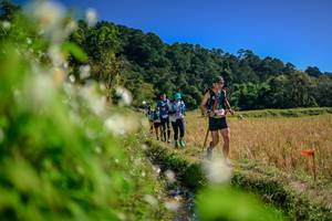 BIB: 
                            <button type="button" onclick="openModal(26574818)" class="btn btn-primary btn-sm float-right btn-popup" data-toggle="modal" data-target=".modal-high-quality">
                        <i class="fas fa-shopping-cart"></i> Add to Cart
                    </button>
                                            <button type="button" onclick="isThisMe(26574818, true)" class="btn btn-success btn-sm float-right btn-popup btn-isme hidden" data-toggle="tooltip" data-placement="bottom" title="นี่คือรูปของคุณใช่ไหม คลิกที่นี่เพื่อเอาเข้าอัลบั้ม">
                        <i class="fas fa-plus"></i> Add to album
                    </button>
                    <button type="button" onclick="isThisMe(26574818, false)" class="btn btn-warning btn-sm float-right btn-popup btn-isnotme hidden">
                        <i class="fas fa-ban"></i> Remove from album
                    </button>