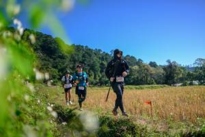 BIB: 
                            <button type="button" onclick="openModal(26579695)" class="btn btn-primary btn-sm float-right btn-popup" data-toggle="modal" data-target=".modal-high-quality">
                        <i class="fas fa-shopping-cart"></i> Add to Cart
                    </button>
                                            <button type="button" onclick="isThisMe(26579695, true)" class="btn btn-success btn-sm float-right btn-popup btn-isme hidden" data-toggle="tooltip" data-placement="bottom" title="นี่คือรูปของคุณใช่ไหม คลิกที่นี่เพื่อเอาเข้าอัลบั้ม">
                        <i class="fas fa-plus"></i> Add to album
                    </button>
                    <button type="button" onclick="isThisMe(26579695, false)" class="btn btn-warning btn-sm float-right btn-popup btn-isnotme hidden">
                        <i class="fas fa-ban"></i> Remove from album
                    </button>