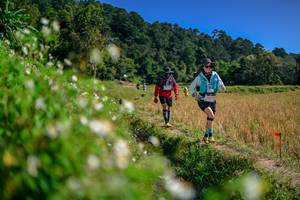 BIB: 
                            <button type="button" onclick="openModal(26582496)" class="btn btn-primary btn-sm float-right btn-popup" data-toggle="modal" data-target=".modal-high-quality">
                        <i class="fas fa-shopping-cart"></i> Add to Cart
                    </button>
                                            <button type="button" onclick="isThisMe(26582496, true)" class="btn btn-success btn-sm float-right btn-popup btn-isme hidden" data-toggle="tooltip" data-placement="bottom" title="นี่คือรูปของคุณใช่ไหม คลิกที่นี่เพื่อเอาเข้าอัลบั้ม">
                        <i class="fas fa-plus"></i> Add to album
                    </button>
                    <button type="button" onclick="isThisMe(26582496, false)" class="btn btn-warning btn-sm float-right btn-popup btn-isnotme hidden">
                        <i class="fas fa-ban"></i> Remove from album
                    </button>