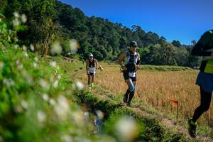 BIB: 
                            <button type="button" onclick="openModal(26576348)" class="btn btn-primary btn-sm float-right btn-popup" data-toggle="modal" data-target=".modal-high-quality">
                        <i class="fas fa-shopping-cart"></i> Add to Cart
                    </button>
                                            <button type="button" onclick="isThisMe(26576348, true)" class="btn btn-success btn-sm float-right btn-popup btn-isme hidden" data-toggle="tooltip" data-placement="bottom" title="นี่คือรูปของคุณใช่ไหม คลิกที่นี่เพื่อเอาเข้าอัลบั้ม">
                        <i class="fas fa-plus"></i> Add to album
                    </button>
                    <button type="button" onclick="isThisMe(26576348, false)" class="btn btn-warning btn-sm float-right btn-popup btn-isnotme hidden">
                        <i class="fas fa-ban"></i> Remove from album
                    </button>