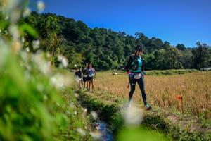 BIB: 
                            <button type="button" onclick="openModal(26574471)" class="btn btn-primary btn-sm float-right btn-popup" data-toggle="modal" data-target=".modal-high-quality">
                        <i class="fas fa-shopping-cart"></i> Add to Cart
                    </button>
                                            <button type="button" onclick="isThisMe(26574471, true)" class="btn btn-success btn-sm float-right btn-popup btn-isme hidden" data-toggle="tooltip" data-placement="bottom" title="นี่คือรูปของคุณใช่ไหม คลิกที่นี่เพื่อเอาเข้าอัลบั้ม">
                        <i class="fas fa-plus"></i> Add to album
                    </button>
                    <button type="button" onclick="isThisMe(26574471, false)" class="btn btn-warning btn-sm float-right btn-popup btn-isnotme hidden">
                        <i class="fas fa-ban"></i> Remove from album
                    </button>