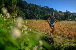 BIB: 
                            <button type="button" onclick="openModal(26570408)" class="btn btn-primary btn-sm float-right btn-popup" data-toggle="modal" data-target=".modal-high-quality">
                        <i class="fas fa-shopping-cart"></i> Add to Cart
                    </button>
                                            <button type="button" onclick="isThisMe(26570408, true)" class="btn btn-success btn-sm float-right btn-popup btn-isme hidden" data-toggle="tooltip" data-placement="bottom" title="นี่คือรูปของคุณใช่ไหม คลิกที่นี่เพื่อเอาเข้าอัลบั้ม">
                        <i class="fas fa-plus"></i> Add to album
                    </button>
                    <button type="button" onclick="isThisMe(26570408, false)" class="btn btn-warning btn-sm float-right btn-popup btn-isnotme hidden">
                        <i class="fas fa-ban"></i> Remove from album
                    </button>