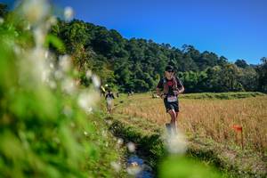 BIB: 
                            <button type="button" onclick="openModal(26573100)" class="btn btn-primary btn-sm float-right btn-popup" data-toggle="modal" data-target=".modal-high-quality">
                        <i class="fas fa-shopping-cart"></i> Add to Cart
                    </button>
                                            <button type="button" onclick="isThisMe(26573100, true)" class="btn btn-success btn-sm float-right btn-popup btn-isme hidden" data-toggle="tooltip" data-placement="bottom" title="นี่คือรูปของคุณใช่ไหม คลิกที่นี่เพื่อเอาเข้าอัลบั้ม">
                        <i class="fas fa-plus"></i> Add to album
                    </button>
                    <button type="button" onclick="isThisMe(26573100, false)" class="btn btn-warning btn-sm float-right btn-popup btn-isnotme hidden">
                        <i class="fas fa-ban"></i> Remove from album
                    </button>